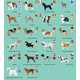 Dog Breed Infographics Image 3