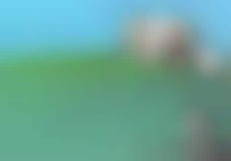 Internet Forefathers Infographic