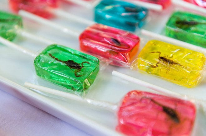 Candied Scorpions