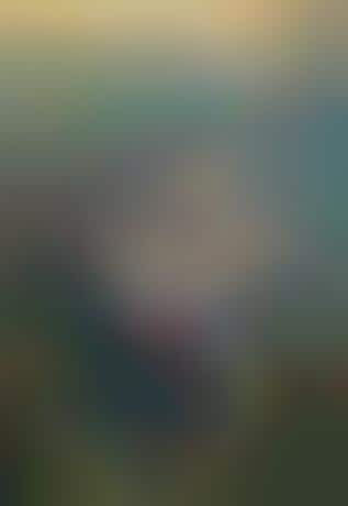 Fantasy Soccer Films