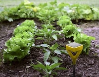 Brilliant Gardening Systems Image 2