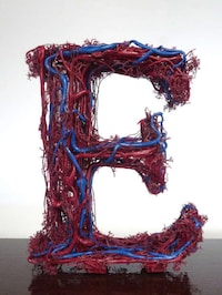 Surgical Anatomy Typefaces Image 6