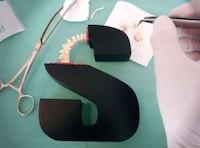 Surgical Anatomy Typefaces Image 7