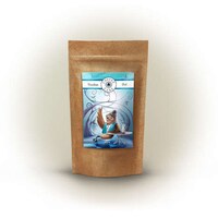 Wonderland Coffee Branding Image 3
