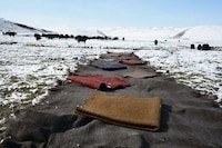 Yak Wool Fashion Image 4