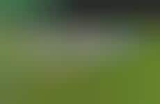 Fantasy World Cup Apps