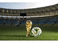 Showpiece Soccer Balls Image 6
