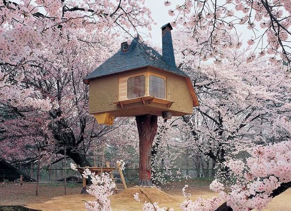 23 Examples of Niche Tea Shops