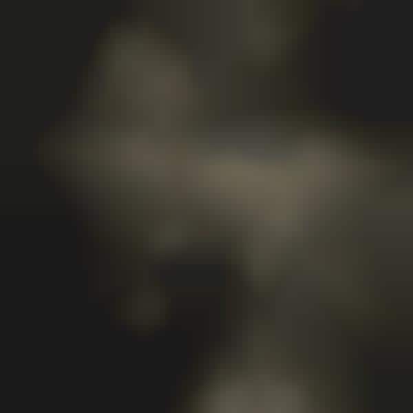 Haunting Hybrid Photography