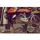 Hipster Indian Bicycles Image 3