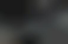 X-Ray Fatality Video Games