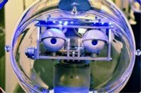 Robotic Museum Employees Image 2