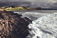 Majestic Highland Photography Image 2