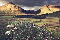 Majestic Highland Photography Image 4
