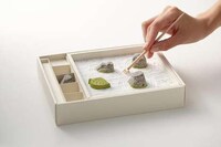 Edible Rock Gardens Image 3