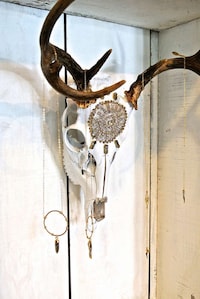 Bejeweled Taxidermy Decor Image 2