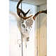 Bejeweled Taxidermy Decor Image 2