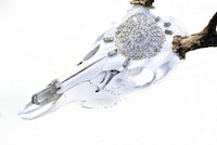 Bejeweled Taxidermy Decor Image 8