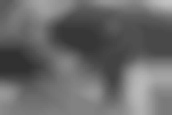 Desolate Grayscale Editorials