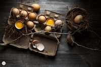 Chiaroscuro Food Photography Image 3