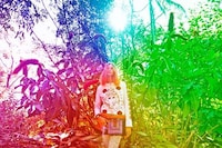 Psychedelic Flower Child Editorials Image 8