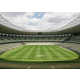 Soccer Stadium Photography Image 2