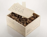 Wood Crate Walnut Branding Image 2