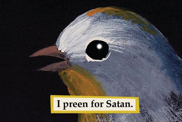 Disturbed Avian Illustrations
