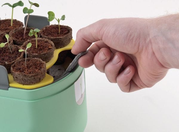 16 Examples of Organic Flavoring