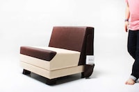 Pet-Resembling Furniture Image 2
