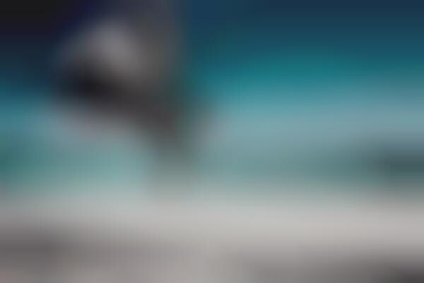 Beachside Ballerina Captures