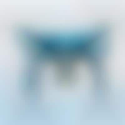Festival Photographer Drones
