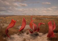 Consumer Culture Artwork Image 2