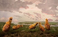 Consumer Culture Artwork Image 3