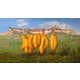 Consumer Culture Artwork Image 6