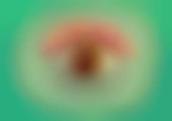 Alert Eyeball Ads