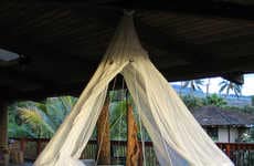 Circular Ceiling Beds