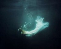 Surreal Nature Photography Image 4
