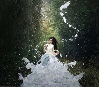 Surreal Nature Photography Image 7
