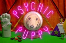 Psychic Soccer Puppies