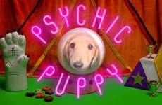 Psychic Soccer Puppies