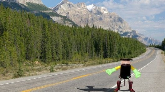 Hitchhiking Robots