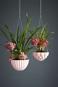 Bulbous Suspended Gardens Image 2