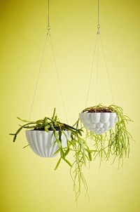 Bulbous Suspended Gardens Image 4