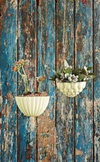 Bulbous Suspended Gardens Image 7