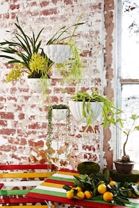 Bulbous Suspended Gardens Image 8