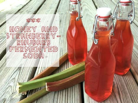 Fermented Fruit Sodas