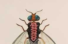 Fashionable Insect Illustrations