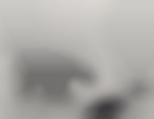 Grayscale Animal Photography
