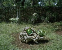 Alluring Havana Photography Image 5